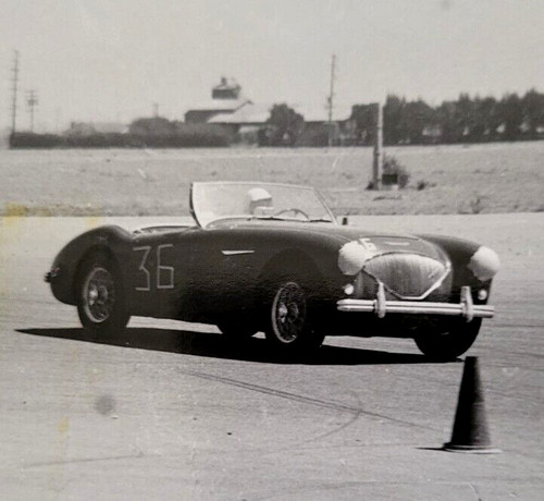 Gran premio esaminatore pomona - premio,